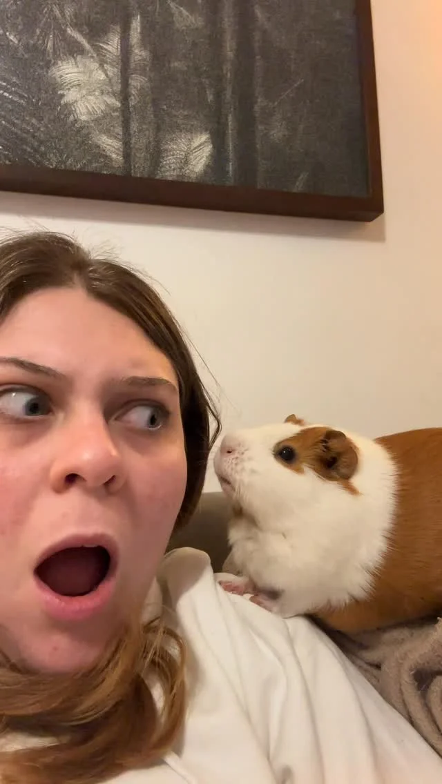 Atualizando a fofoca com o best