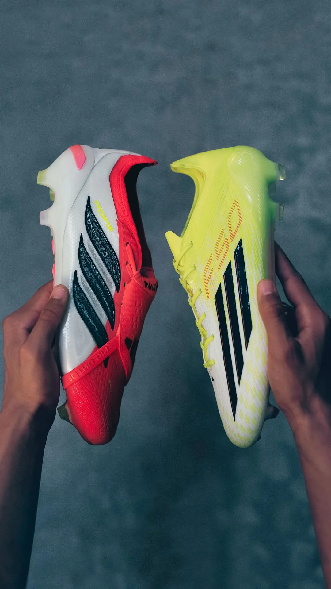 chaos or control? It’s F50 or Predator: choose one. 🫵🙂‍↕️