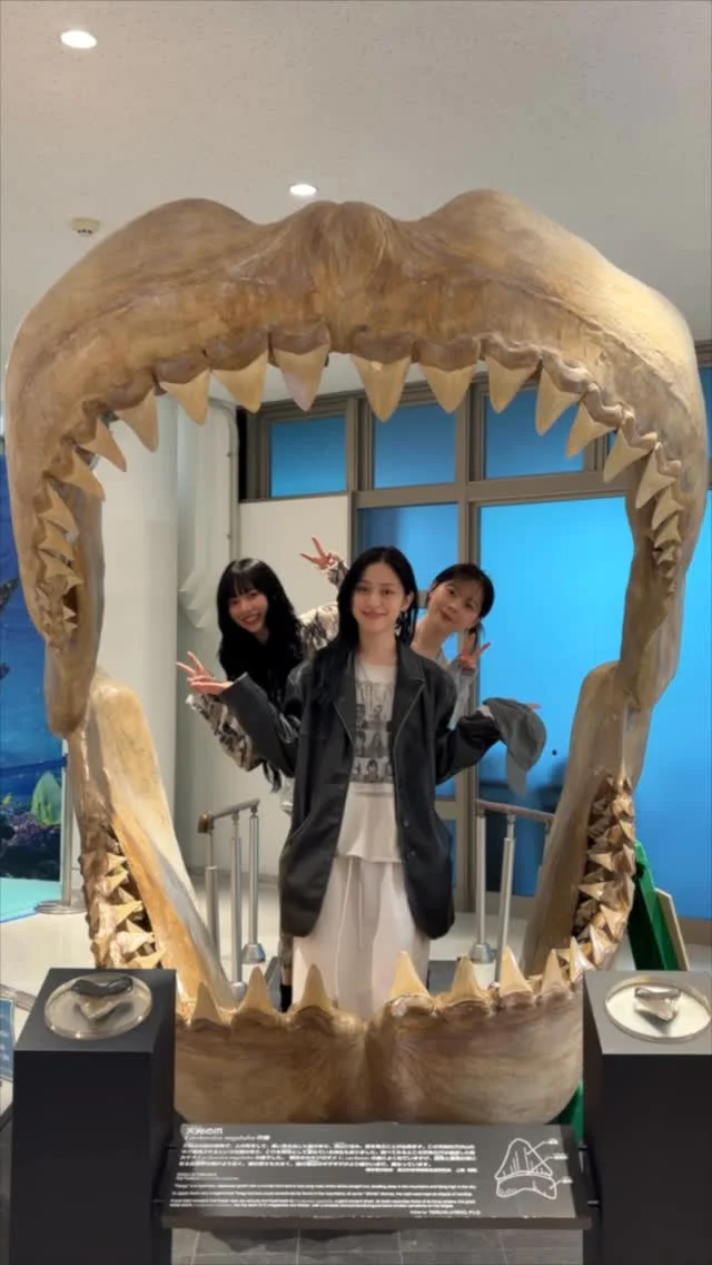 읏쇼읏쇼 우리의 우정 여행 ✮

#aespa #에스파 
#KARINA @katarinabluu 
#RYUJIN @iamfinethankyouandryu 
#한수아 @swaxwa